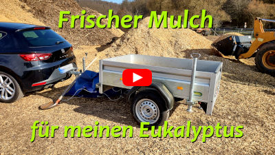 Mulchen