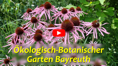 Bot. Garten Bayreuth