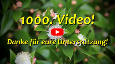 1000. Video