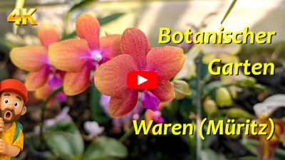 Botanischer Garten