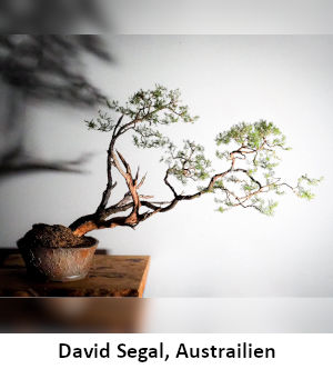 424_David_Segal.jpg