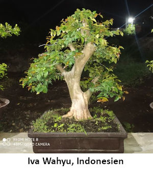 327_i_wahyu.jpg