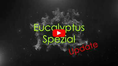 Eucalyptus-Spezial-Update